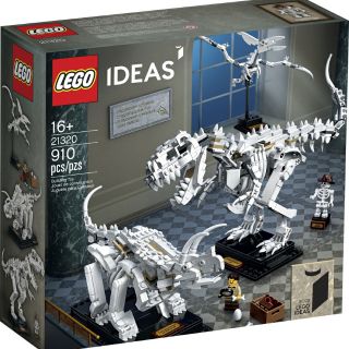 LEGO IDEAS CHÍNH HÃNG, 21320, DINOSAUR FOSSILS, BỘ XƯƠNG KHỦNG LONG HÓA THẠCH