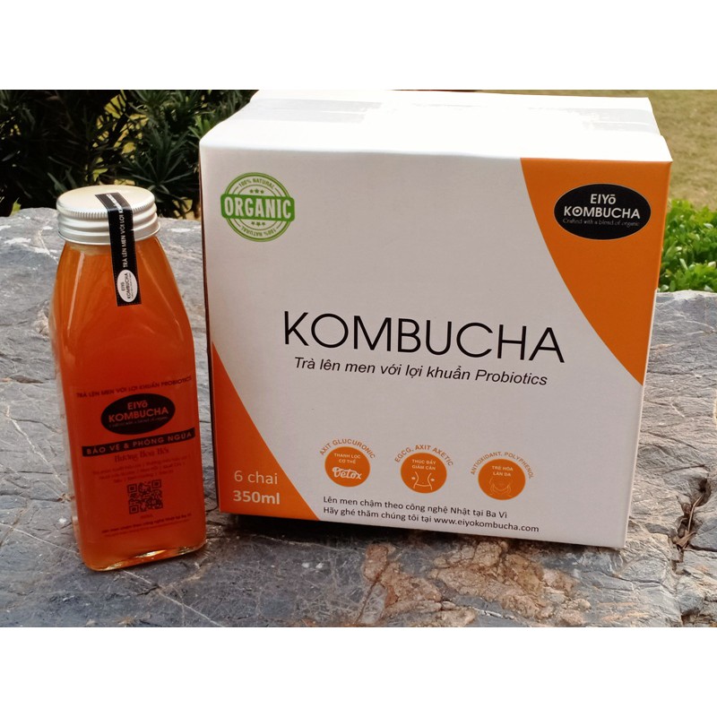 TRÀ KOMBUCHA - BẢO VỆ & PHÒNG NGỪA  HƯƠNG HOA HỔI THÙNG 6 CHAI.