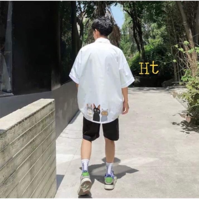 Áo sơ mi trắng ngắn tay 3 con mèo