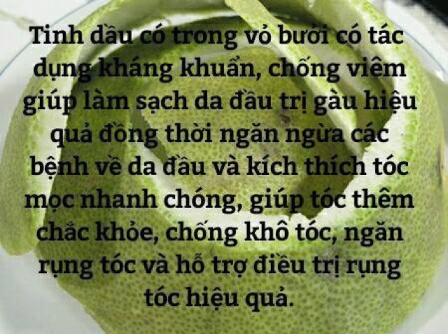 Túi lọc thảo dược bồ kết 1 bịch 20 gói Bao bì mới