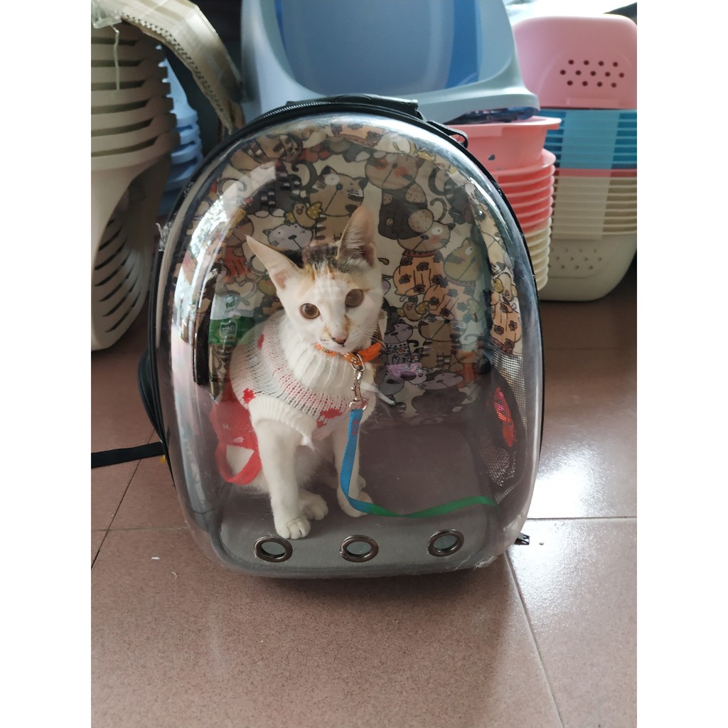 [FREESHIP] Quần áo cho mèo, áo mùa đông cho mèo, chất len, siêu đẹp và dễ thương cho chú mèo của bạn (len quả dâu)