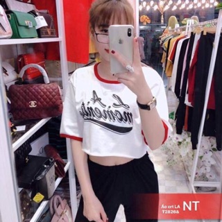 Áo crt la lé cổ