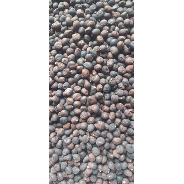 100gram hạt bông gòn giống