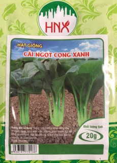 Hạt giống cải ngọt cọng xanh 🌱