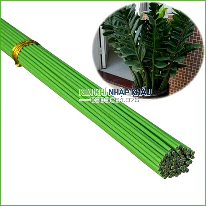 10 que cắm Lan lõi thép bọc nhựa xanh dài 80cm