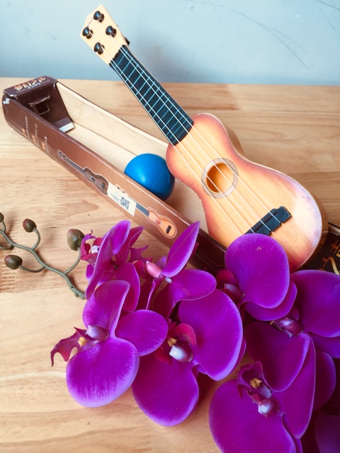 Đàn ukulele dễ thương cho bé