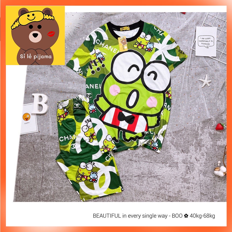 Đồ Bộ Pijama Thun Lạnh 3D Cao Cấp Tay Ngắn Quần Lửng Họa Tiết Hoạt Hình Dễ Thương