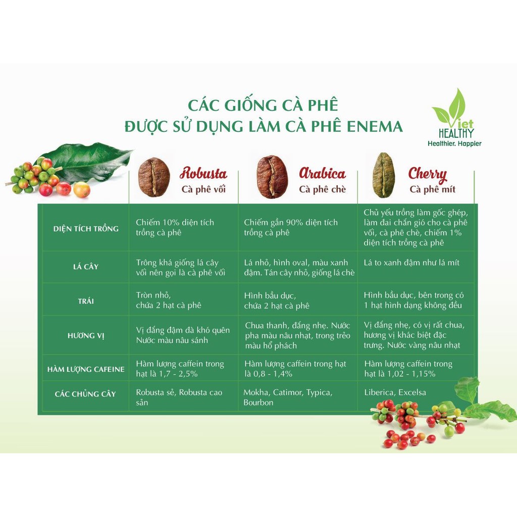 Bột cà phê nguyên chất Enema Viet Healthy túi 1kg thải độc đại tràng | BigBuy360 - bigbuy360.vn