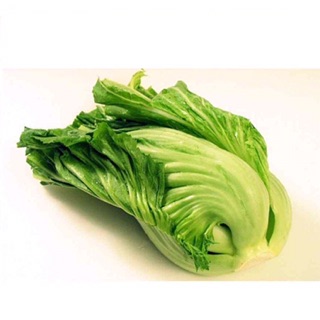 Hạt giống cải bẹ