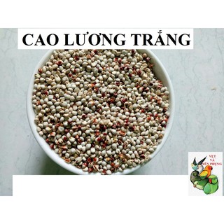 1Kg Cao lương trắng cho Thú cưng, Vẹt