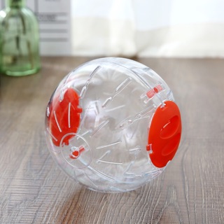 Banh ( Bóng ) Chạy Cho Chuột Hamster