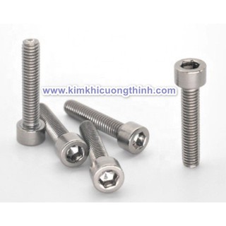 Bộ bulong lục giác chìm inox 304-M6