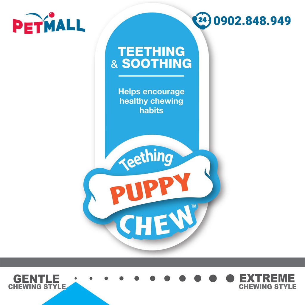 Đồ chơi xương gặm Nylabone Puppy Chew - 2 cây vị Medley Petmall