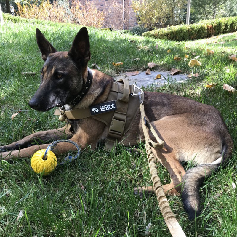 Tactical Dog Quần áo Vest Dây đeo ngực Cỡ nhỏ, vừa và lớn xích chó chăn cừu Đức Shepherd Golden Retriever K9