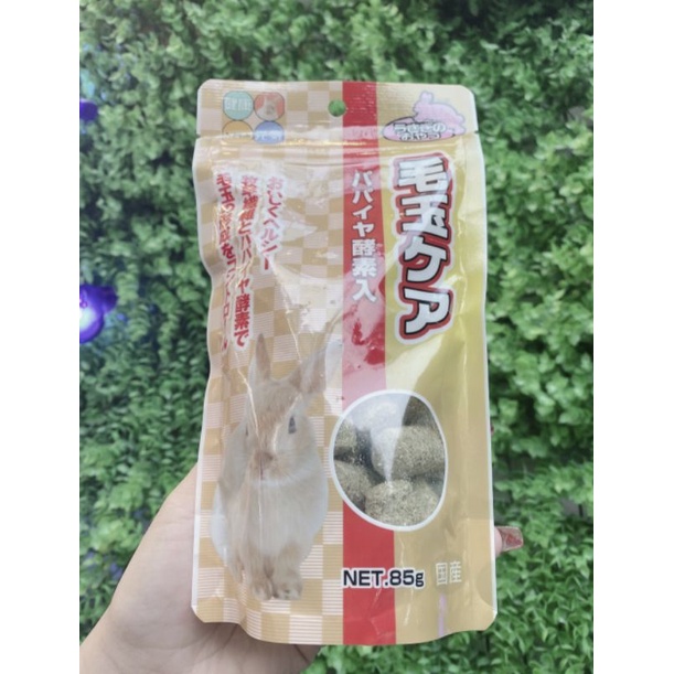Bánh Snack Tiêu Lông Vị Đu Đủ Nhật Bản Dành Cho Thỏ - Bọ - Thú Nhỏ