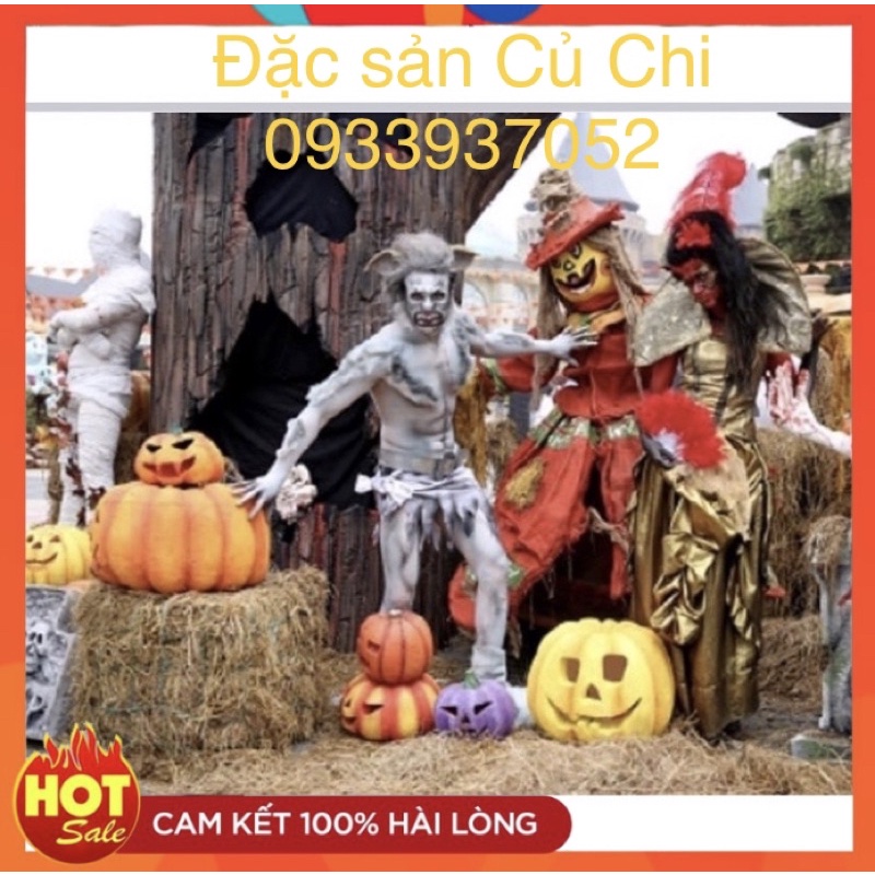 100g Rơm khô trang trí Noen, tết…