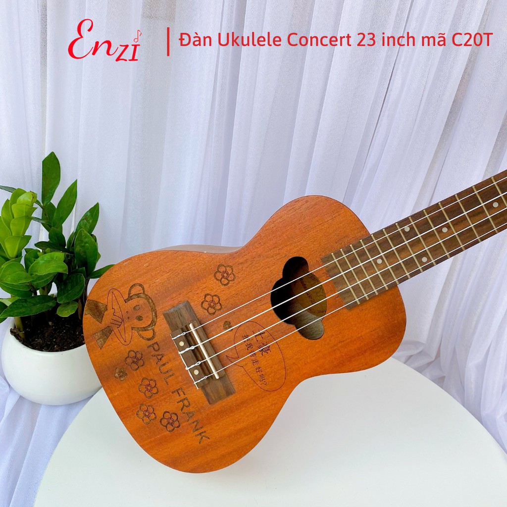 Đàn ukulele concert C20T Enzi 23 inch gỗ mộc họa tiết chú khỉ giá rẻ cho bạn mới bắt đầu tập chơi