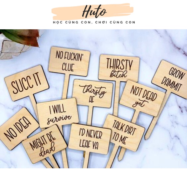 Set 20 tag gỗ dùng ghi tên phân loại cây