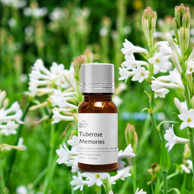Tinh dầu 10ml phối hương Hồi ức hoa huệ trắng - Tuberose memories The Candle DNA