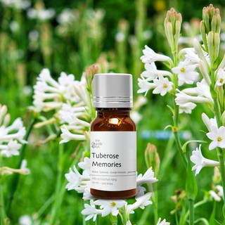 Tinh dầu 10ml phối hương Hồi ức hoa huệ trắng - Tuberose memories The Candle DNA