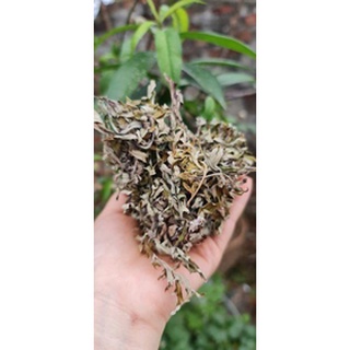 Điếu hơ ngải cứu rừng (1 gói 15 cây)