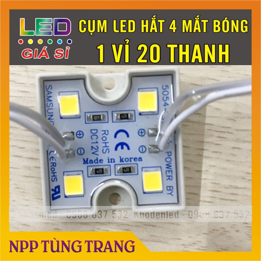 Led hắt 4 mắt 5054 đế nhựa màu trắng và vàng ấm 12V(1 dây 20 led 4 bóng)