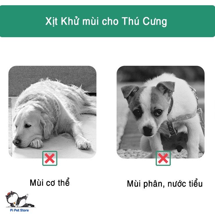 Chai Xịt khử mùi cho chó mèo hương Chanh 500ml, Xịt phòng khử khuẩn cho thú cưng khử mùi nước tiểu Daoliqi