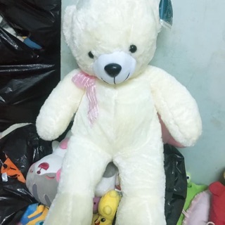 Gấu bông của Lê hữu trác