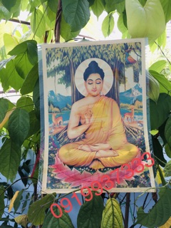 Tranh phật