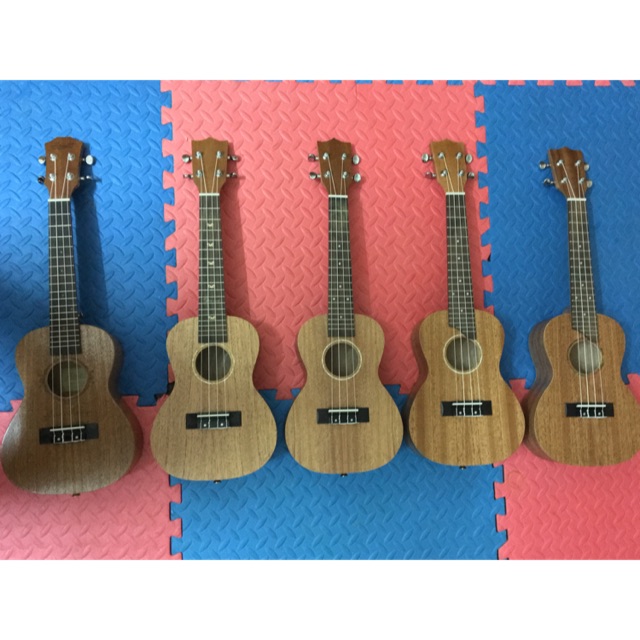 CÁC MẪU UKULELE 24 inch CÓ SẴN