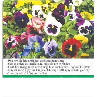 Hạt Giống Hoa Pansy Mix Nhiều Màu Gói 20 Hạt