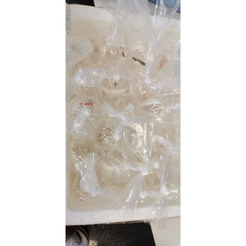1 kg/size túi chuyên dụng đóng cá cảnh - Nga Guppy có 7 size 9*31,11*35/ 15*35/ 15*50/20*60/35*75/40*75,50*85,