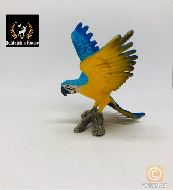 Con Vẹt Macaw Chim Màu Xanh Lá - Ảnh miễn phí trên Pixabay - Pixabay