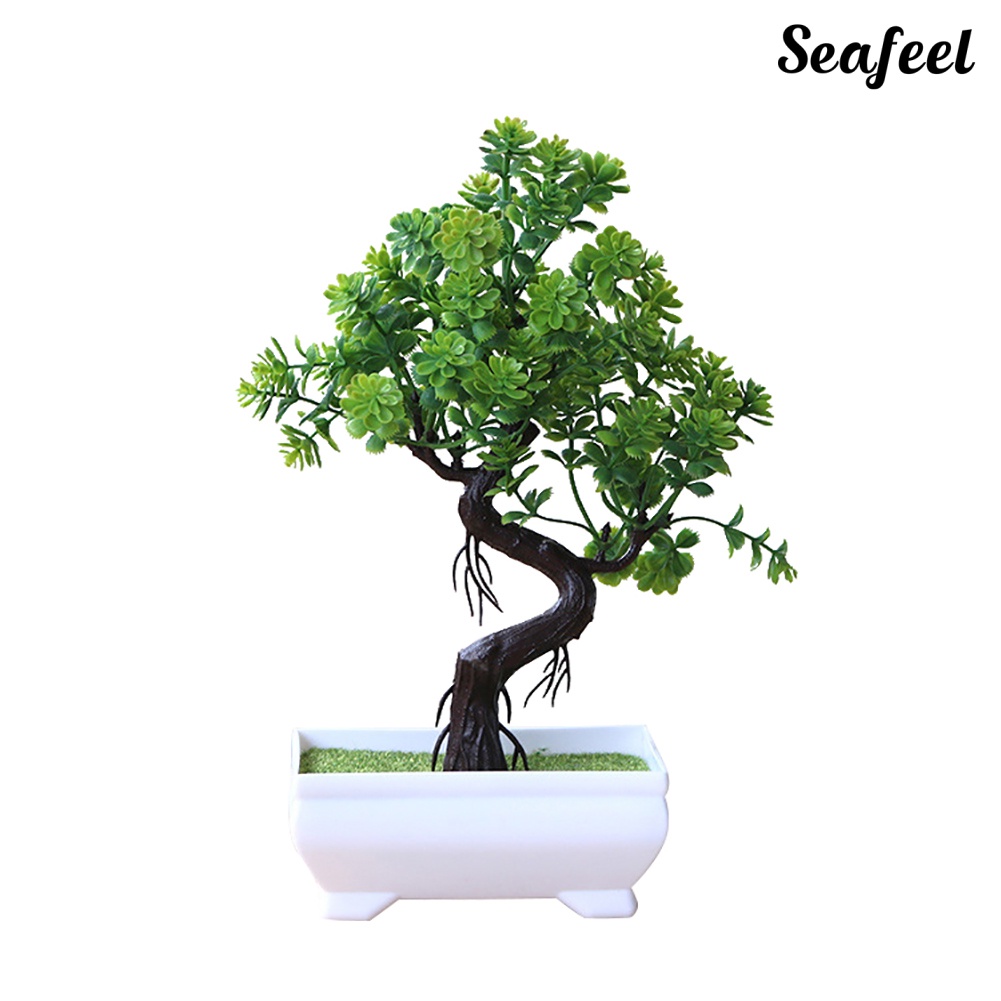 Chậu Cây Bonsai Giả Trang Trí Bàn