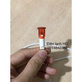 Combo 5c Dây đèn Bình nóng lạnh Picenza