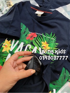 Áo Pull Bé Trai Kỳ Nhông Hoa Lá