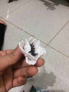 Hoa Cai ao