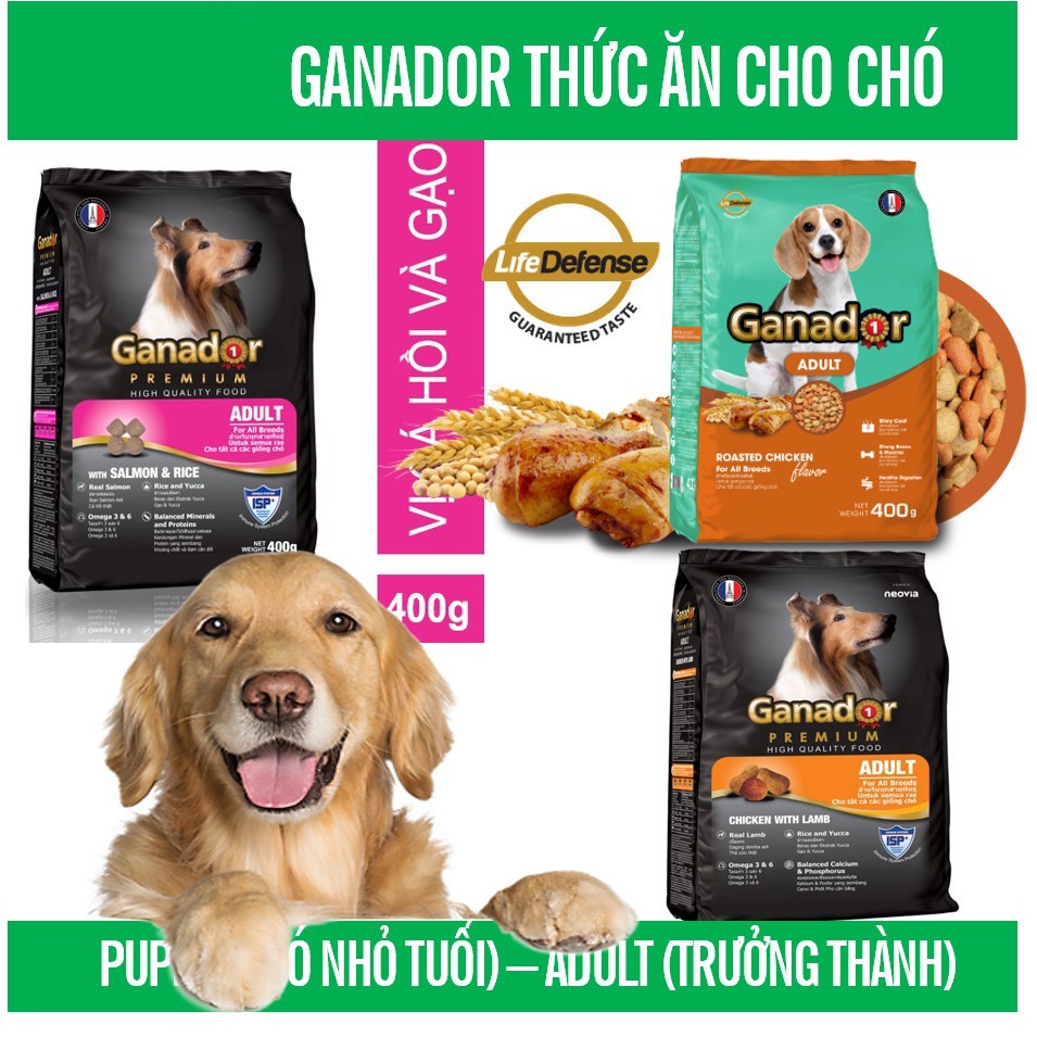 HN.(5 loại) GANADOR cho chó Gói 400gr- Thức ăn dạng hạt cao cấp ( thức ăn chó mọi lứa tuổi )