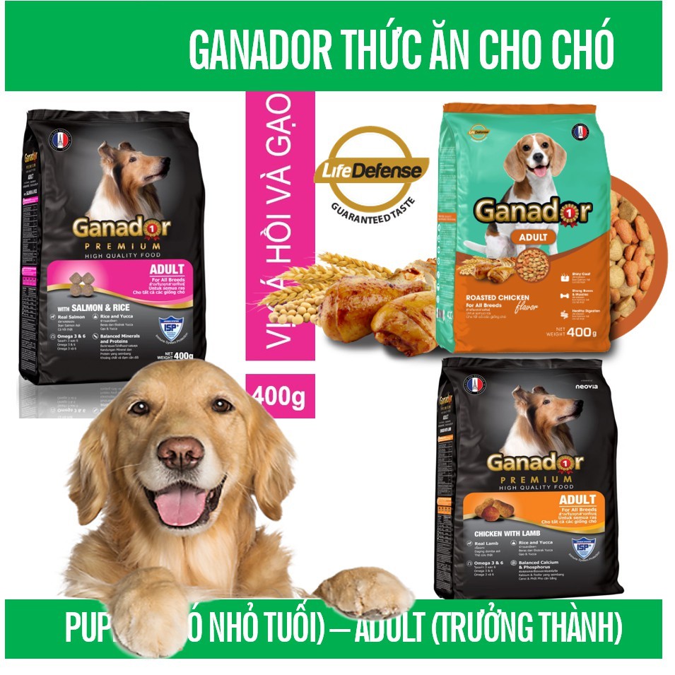 HN.(5 loại) GANADOR cho chó Gói 400gr- Thức ăn dạng hạt cao cấp ( thức ăn chó mọi lứa tuổi )