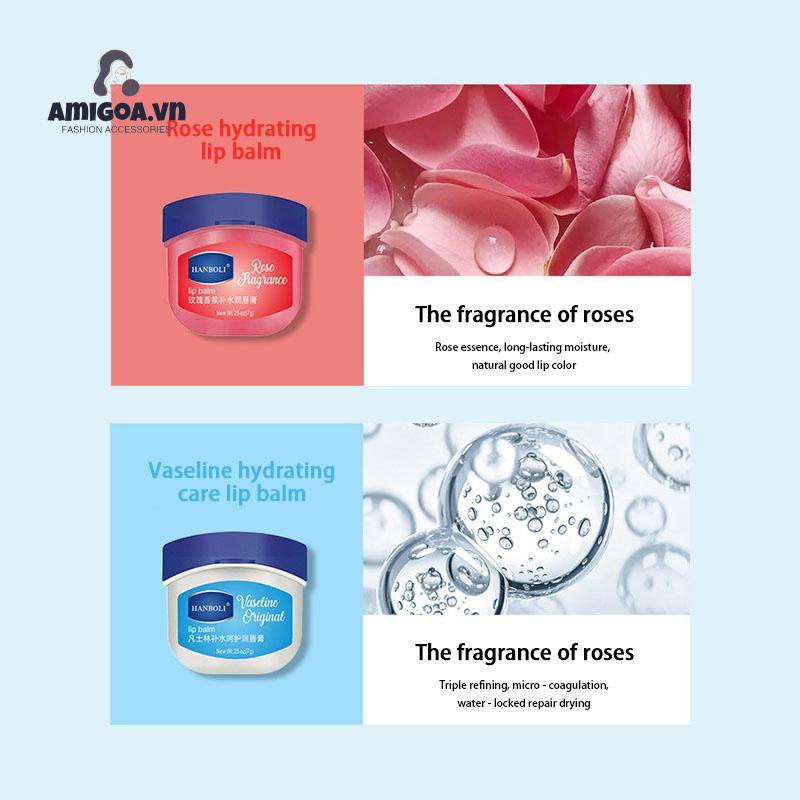 ✨✨Dưỡng môi VASELINE 7g dạng hũ LOẠI RẺ cho KHÁCH SỈ đủ vị