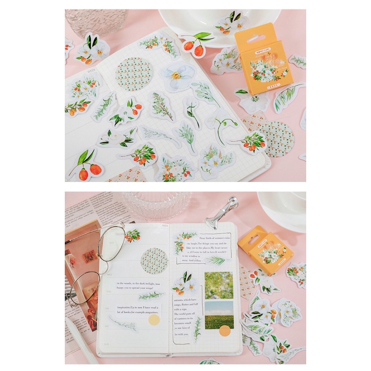 Bộ sticker/ Hình dán Hoạ Tiết Hình Hoạ Tiết Lan Hồ Điệp (45 Hình)