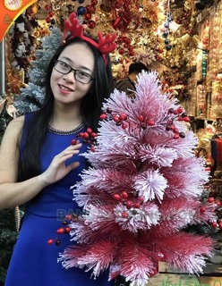 Cây thông mini màu đỏ phủ tuyết 60cm