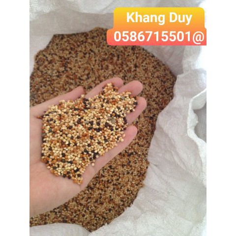 Hạt cỏ thái ngũ sắc 1kg