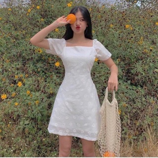 ĐẦM TRẮNG HOA CÚC CỔ VUÔNG