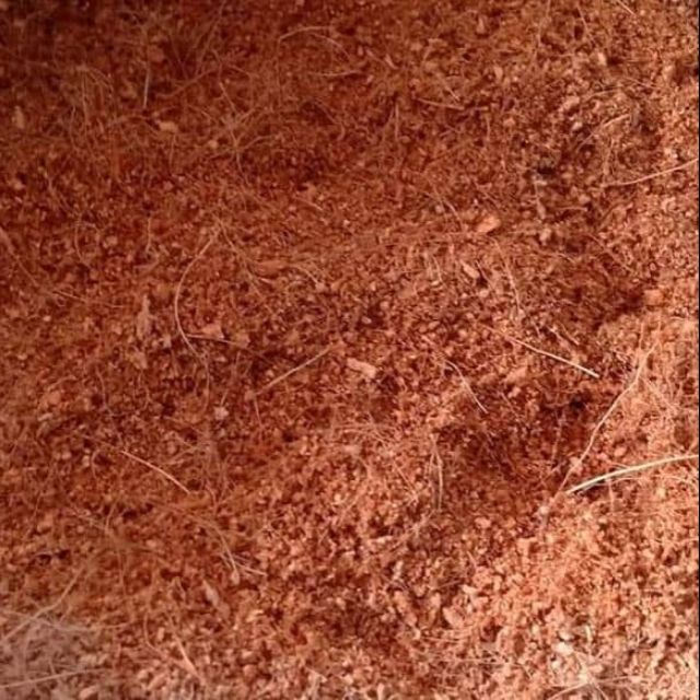 Sơ dừa để trồng cây