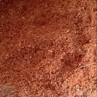 Sơ dừa để trồng cây