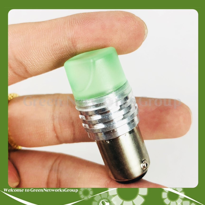 Đèn hậu LED chớp nháy lắp cho mọi loại xe Greennetworks ( Loại đầu đục )