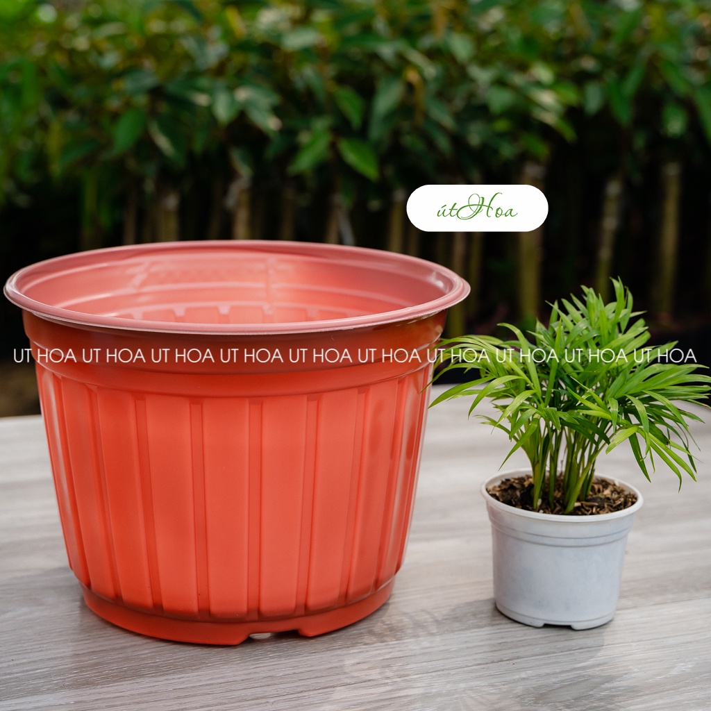 Chậu nhựa nâu N26  dày cứng, bóng đẹp