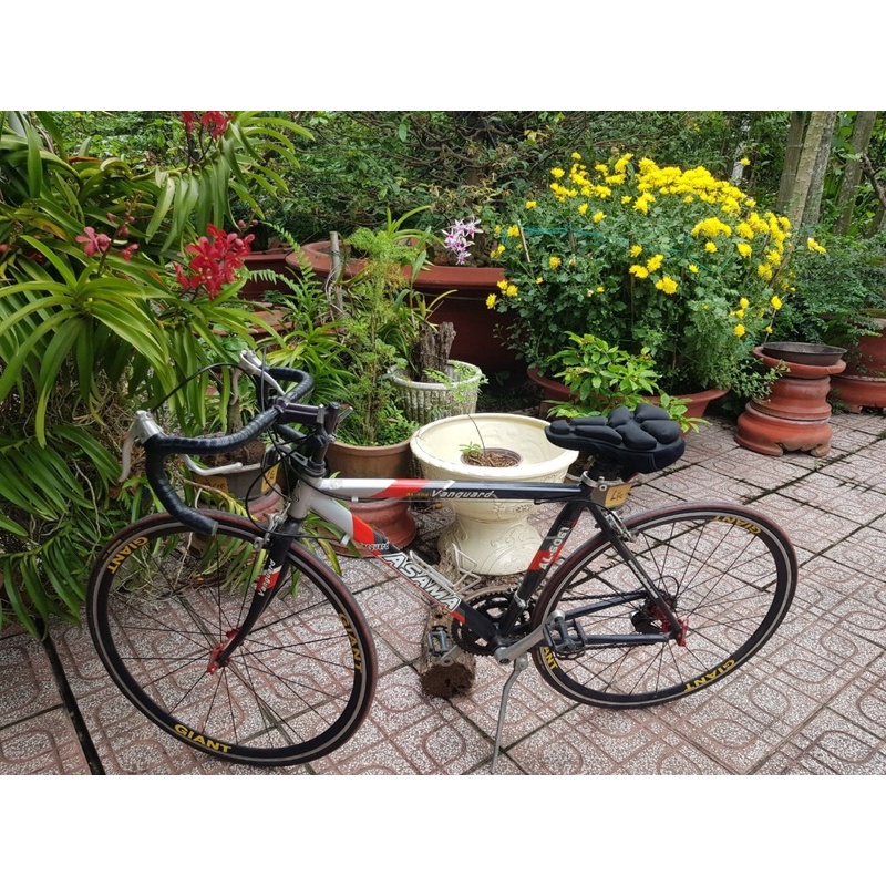 Giá đỡ bình nước- Gắn xe đạp thể thao