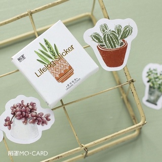 Set 45 Sticker/Nhãn Dán Các Chậu Cây Dễ Thương